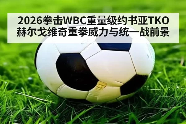 2026拳击WBC重量级约书亚TKO赫尔戈维奇重拳威力与统一战前景