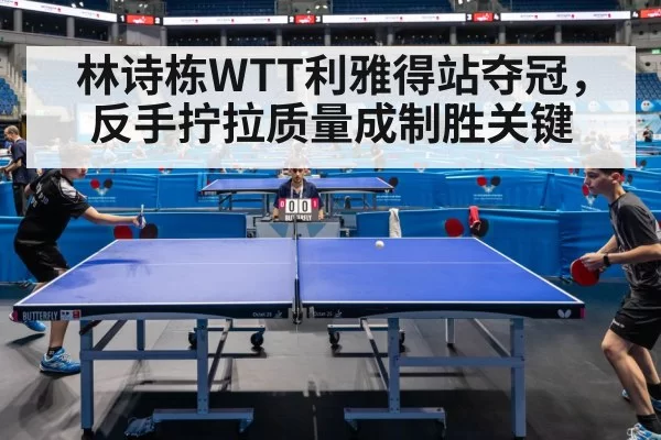 table tennis match action | pgdianzi