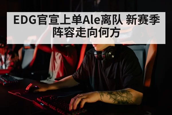 esports player | pgdianzi