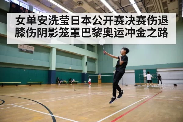 badminton court action | pgdianzi